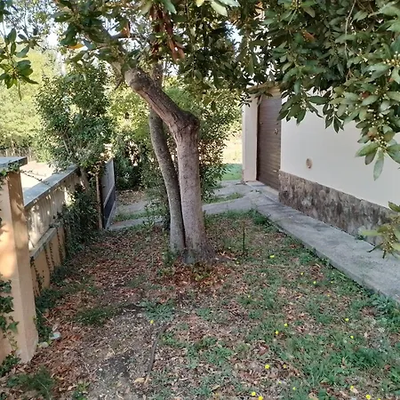 Holiday home Casa Amb Gran Jardi A Vilauer-costa Brava - Alt Emporda