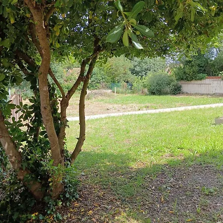 Casa Amb Gran Jardi A Vilauer-costa Brava - Alt Emporda Holiday home Vilaur