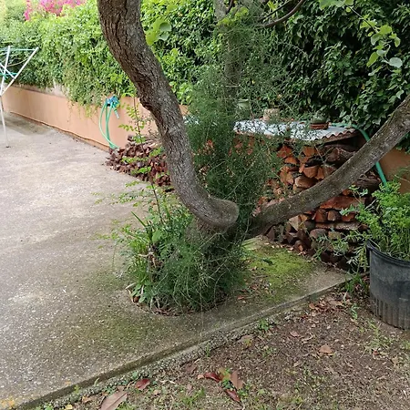 Vakantiehuis Casa Amb Gran Jardi A Vilauer-costa Brava - Alt Emporda *
